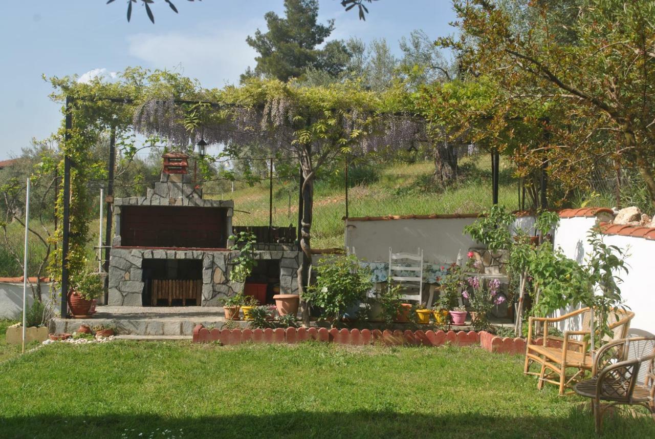 Studio Metamorfosi المظهر الخارجي الصورة
